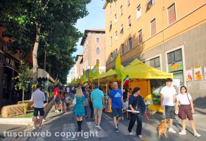 Viterbo - Il Villaggio Coldiretti in via Marconi