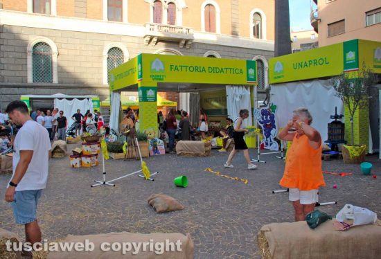 Viterbo - Il Villaggio Coldiretti in via Marconi