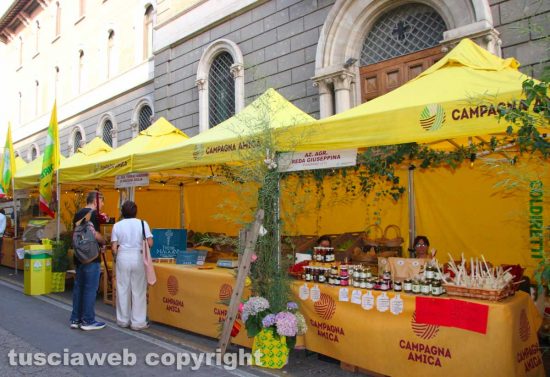 Viterbo - Il Villaggio Coldiretti in via Marconi