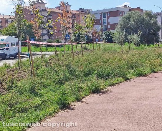 Viterbo - Parco della solidarietà