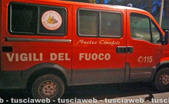 Vigili del fuoco gruppo cinofili impegnati nelle ricerche