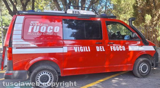 Vigili del fuoco gruppo cinofili impegnati nelle ricerche