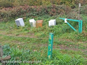 Viterbo - Rifiuti su strada Canepinese