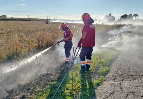 Tarquinia - Incendio di sterpaglie su strada di Montericcio 