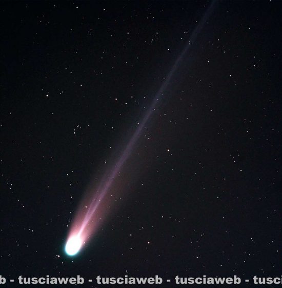 La cometa Lemmon A6