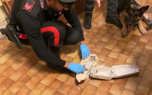 Roma - Quarticciolo - L'operazione antidroga dei carabinieri