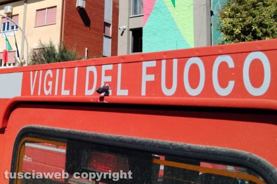 Vigili del fuoco