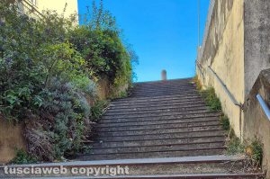 Viterbo - Bagnaia - La scalinata tra via Quadrani a via Fiume - I corrimano sommersi dal verde