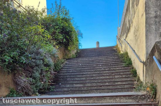 Viterbo - Bagnaia - La scalinata tra via Quadrani a via Fiume - I corrimano sommersi dal verde