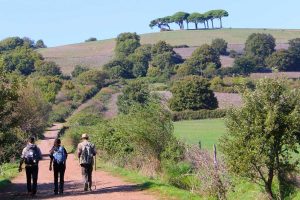 Un'escursione a Valentano