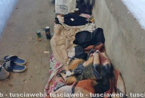 Viterbo - Sgomberato il lavatoio a via Signorelli