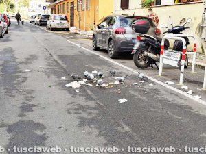 Civitavecchia - Uccelli e rifiuti in via Leopoli