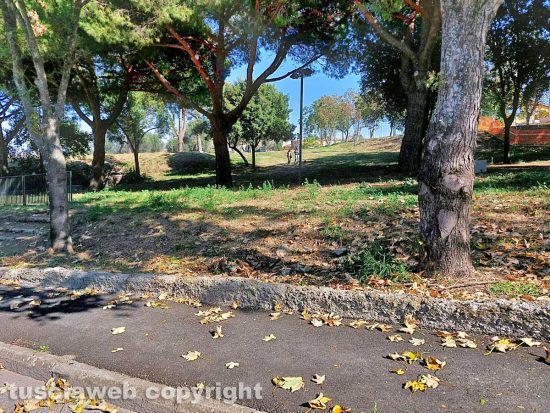 Viterbo - Via libera per la "zona green" del nuovo parco in via San Paolo - Valle Faul