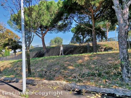 Viterbo - Via libera per la "zona green" del nuovo parco in via San Paolo - Valle Faul
