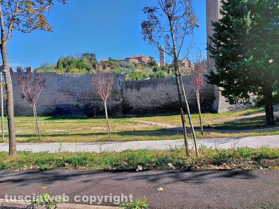 Viterbo - Via libera per la "zona green" del nuovo parco in via San Paolo - Valle Faul