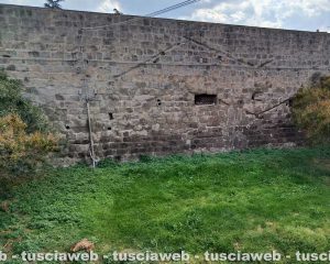 Viterbo - Il verde a via dei Giardini a Pianoscarano