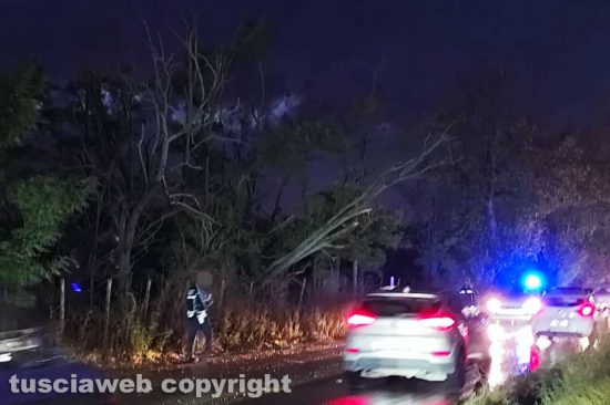 Viterbo - Albero pericolante sulla Cassia Nord - Sul posto la polizia locale