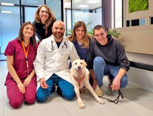 Viterbo - Havana e il suo staff medico