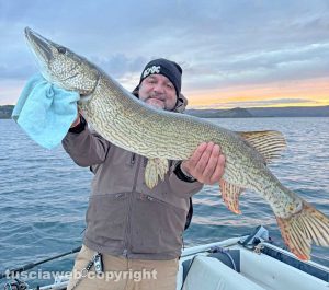 Il luccio pescato da Maurizio Bisegna