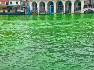 Venezia - Il Canale Grande si tinge di nuovo di verde