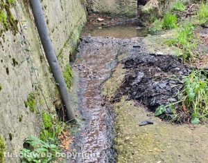 Acque reflue lungo la strada a Orte Scalo