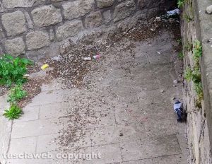 Viterbo - Degrado a Porta Fiorita