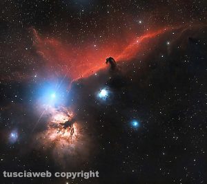 Le nebulose Fiamma e Testa di cavallo
