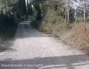 Viterbo - La curva su strada Pian di Tortora 