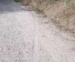 Viterbo - Strada Pian di Tortora - Il segno lasciato dalla moto che ha investito e ucciso un cane