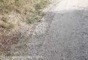Viterbo - Strada Pian di Tortora - Il segno lasciato dalla moto che ha investito e ucciso un cane