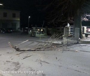 Ramo caduto a San Martino al Cimino