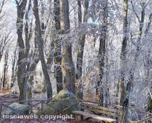 Soriano nel Cimino - La faggeta innevata