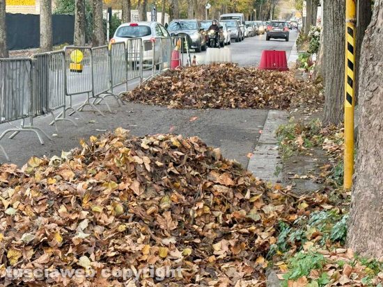 Viterbo - Viale Trieste - Partono i lavori di Talete