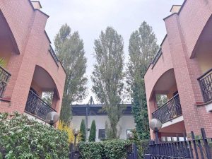 Viterbo - Il quartiere Santa Barbara