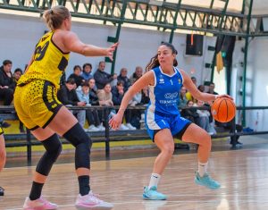 Sport - Ants Basket - Arianna Puggioni
