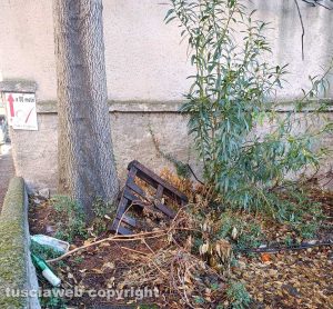 Viterbo - Degrado a via Pertini