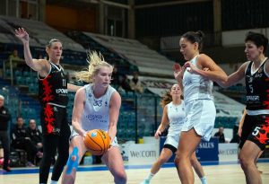 Sport - Basket - Ants basket