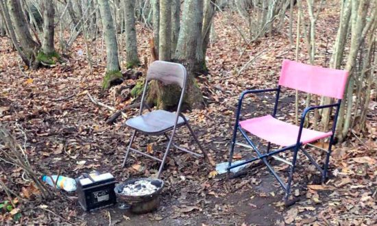 Spaccio nei boschi di Monte Fogliano - foto di repertorio