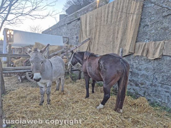 Montefiascone - Il presepe vivente nei giardini del palazzo vescovile