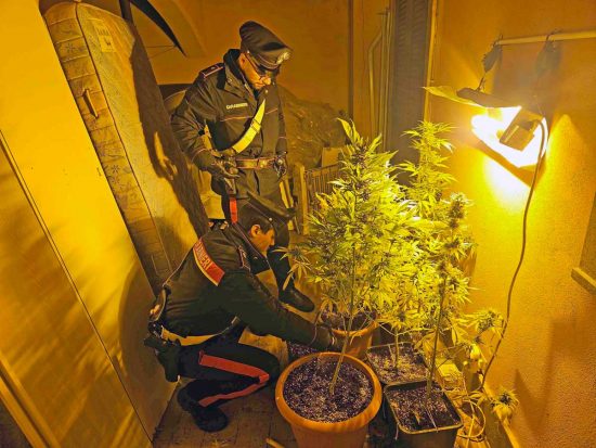 Carabinieri - Sacrofano - Coltivava marijuana in casa