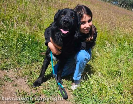 Il cane Nerone