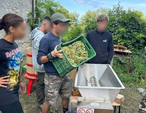 Tarquinia - Gli studenti del'Iis Cardarelli alle prese con la vendemmia didattica