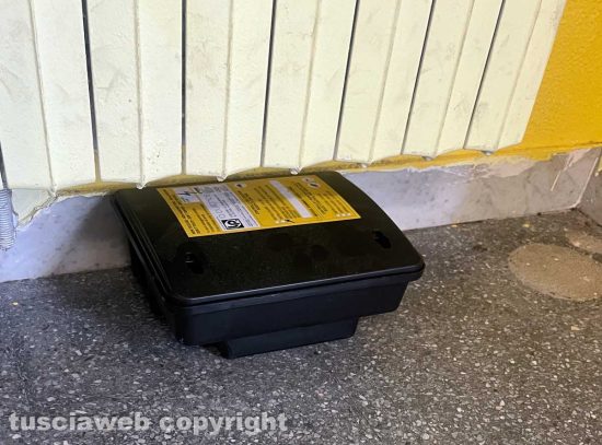 Vetralla - Le trappole per i topi all''Iis Farnese