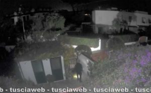 Montalto di Castro - Ladro in azione alla Marina