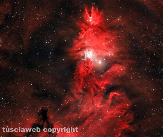La Nebulosa Cono