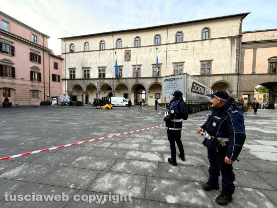 Viterbo - In piazza del Comune sono arrivati i cinquantotto alberi che comporranno il bosco incantato