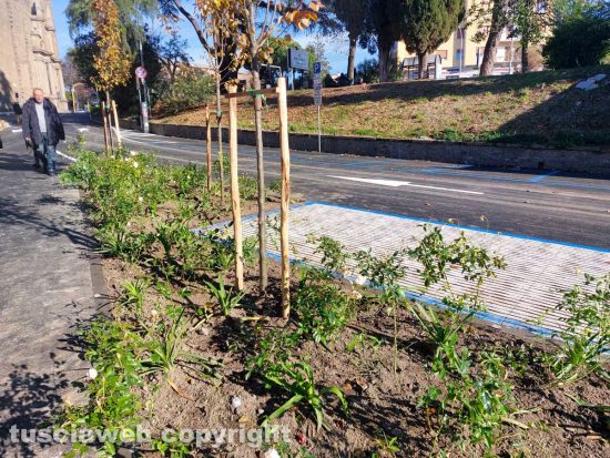 Viterbo - Riaperto il parcheggio delle Fortezze