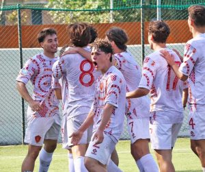 L'esultanza della Romulea