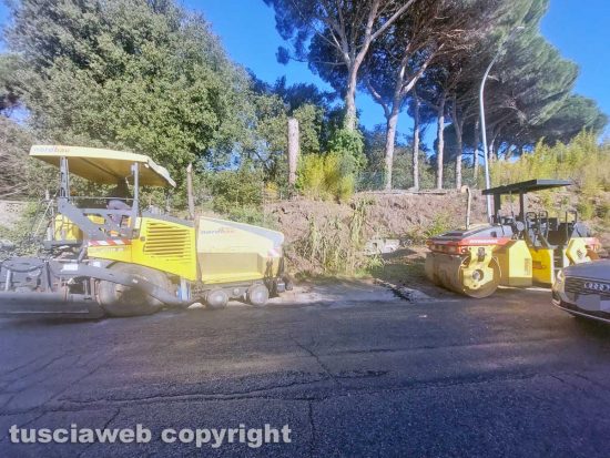 Viterbo - Lavori in viale Trieste
