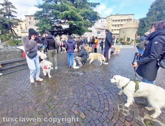 Viterbo - Golden retriever al Sacrario